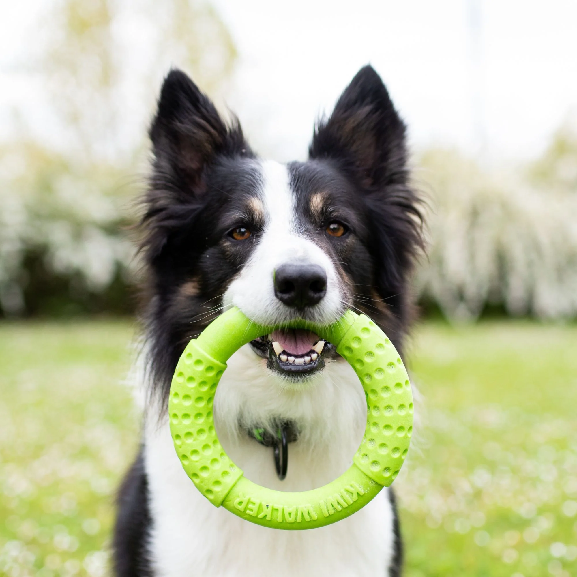 Kiwi Walker Let's Play! Ring Green Maxi - Image 3