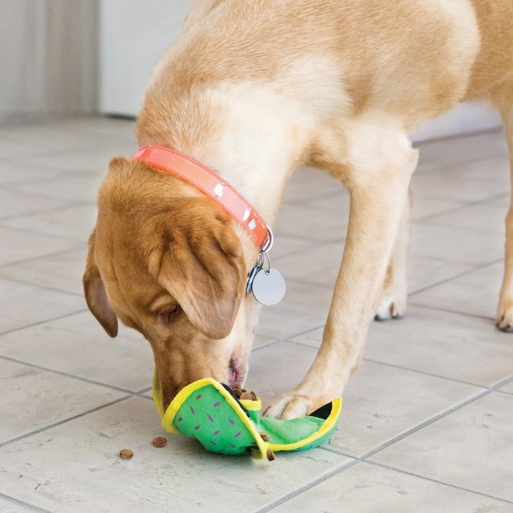 KONG Ballistic Hide 'n Treat Assorted Medium - Image 4