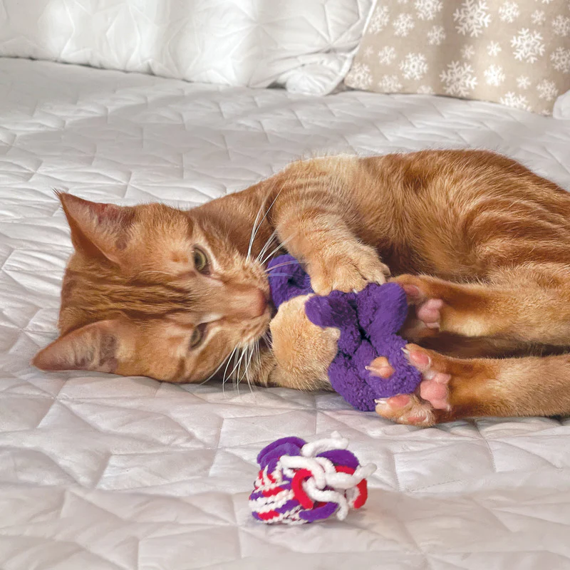 KONG Cat Active Rope Red & Purple - Image 4