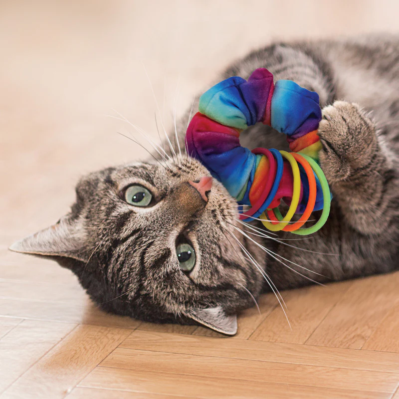 KONG Cat Active Scrunchie - Image 3