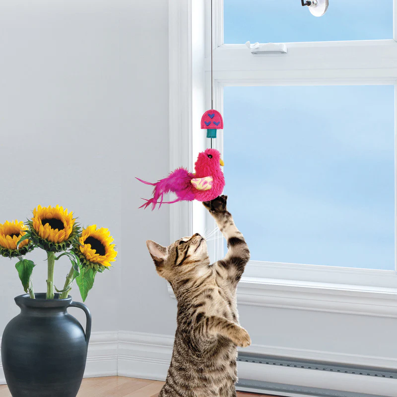 KONG Cat Window Teaser Assorted - Image 4
