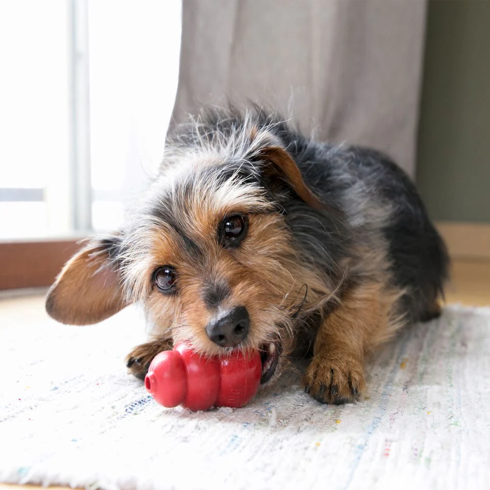 KONG Classic Red Dog Toy - Image 7