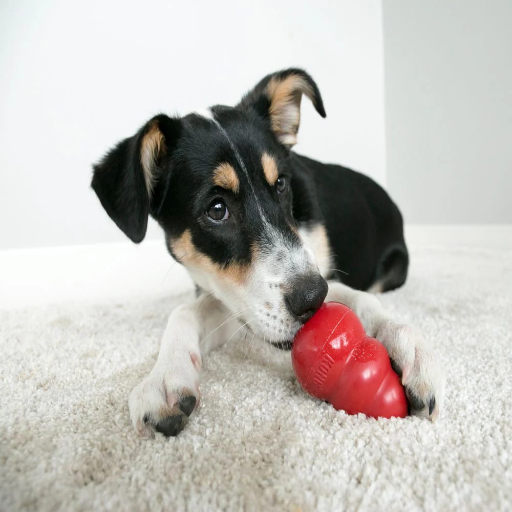 KONG Classic Red Dog Toy - Image 8