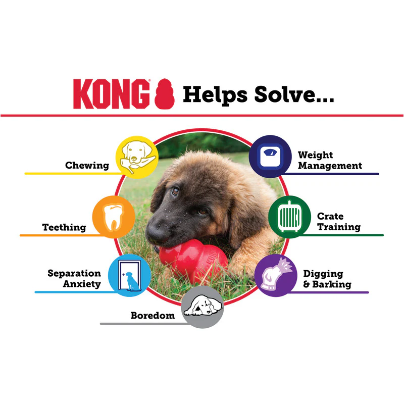 KONG Classic Red Dog Toy - Image 9