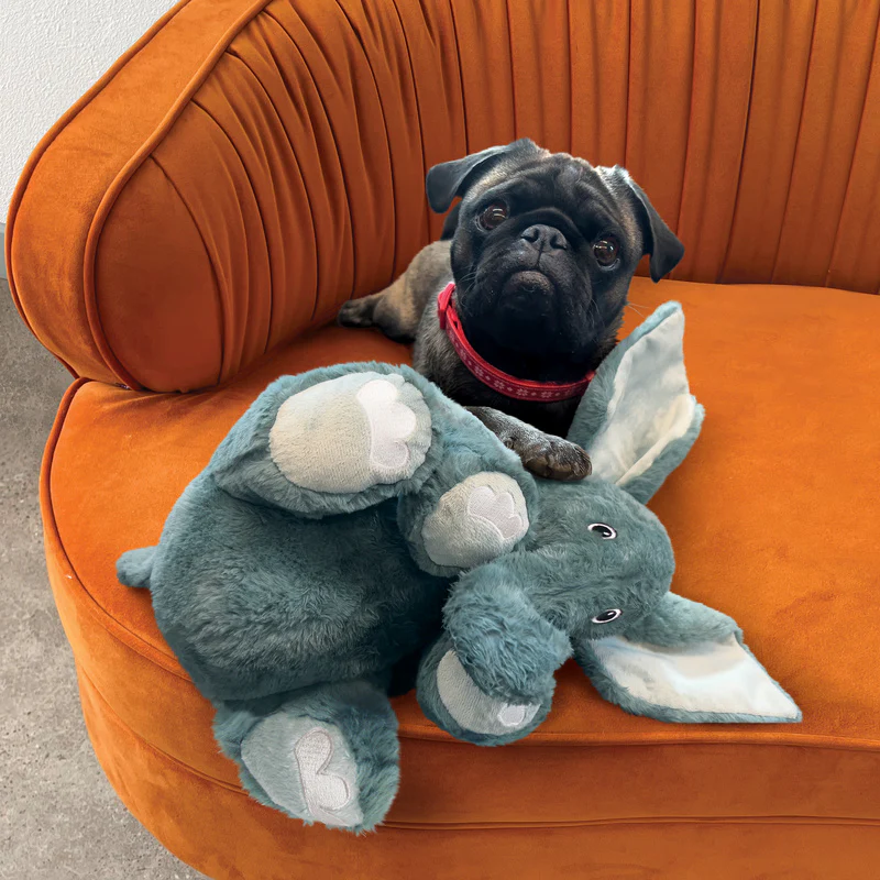 KONG Comfort Kiddos Jumbo Elephant XL - Image 3