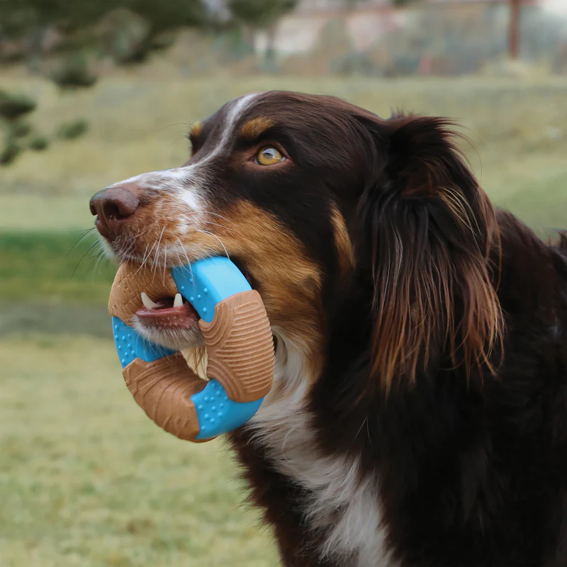KONG CoreStrength Bamboo Bone Large - Image 4