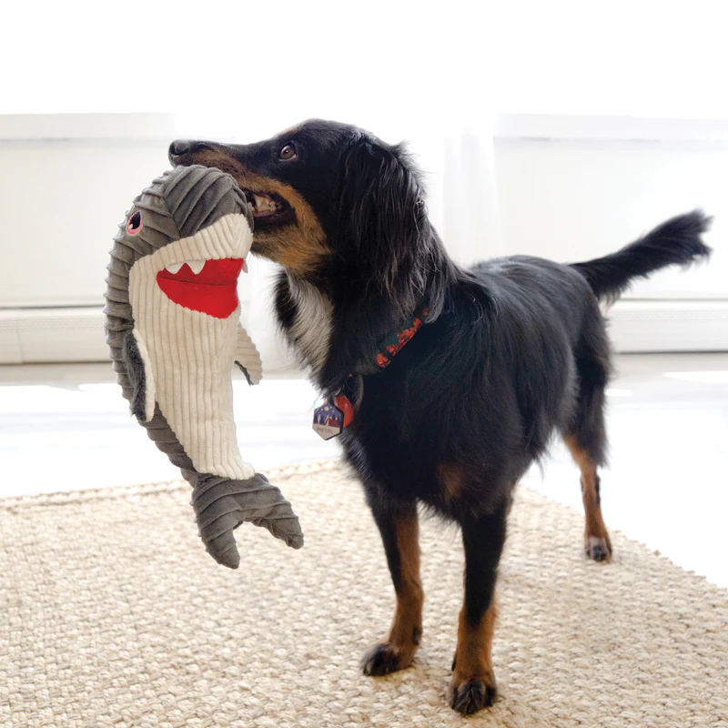 KONG Cuteseas Rufflez Shark Medium/Large - Image 2