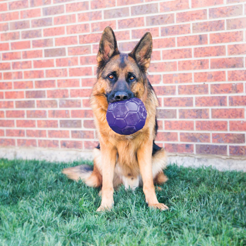 KONG Flexball Medium/Large - Image 4