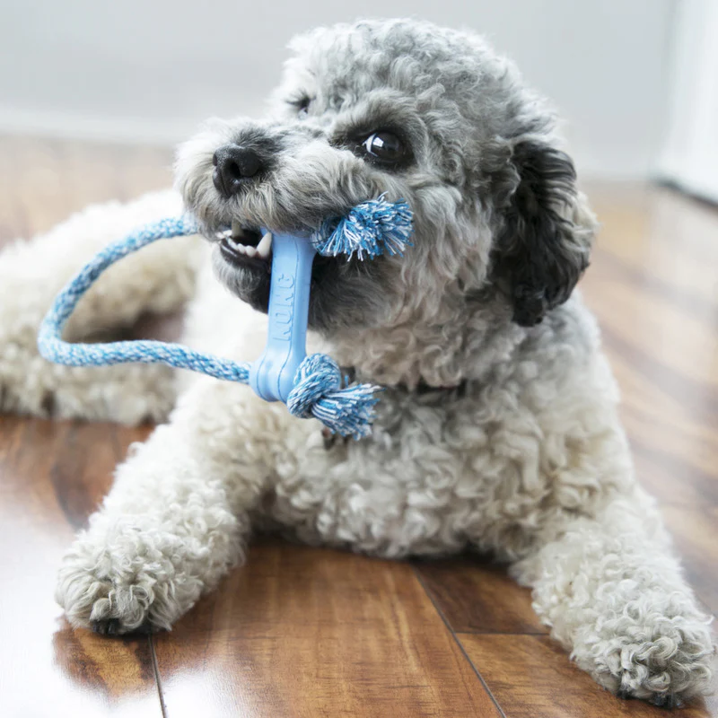 KONG Puppy Goodie Bone with Rope XSmall - Image 5