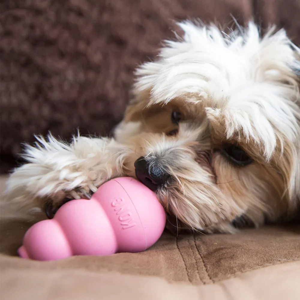 KONG Puppy Toy - Image 4