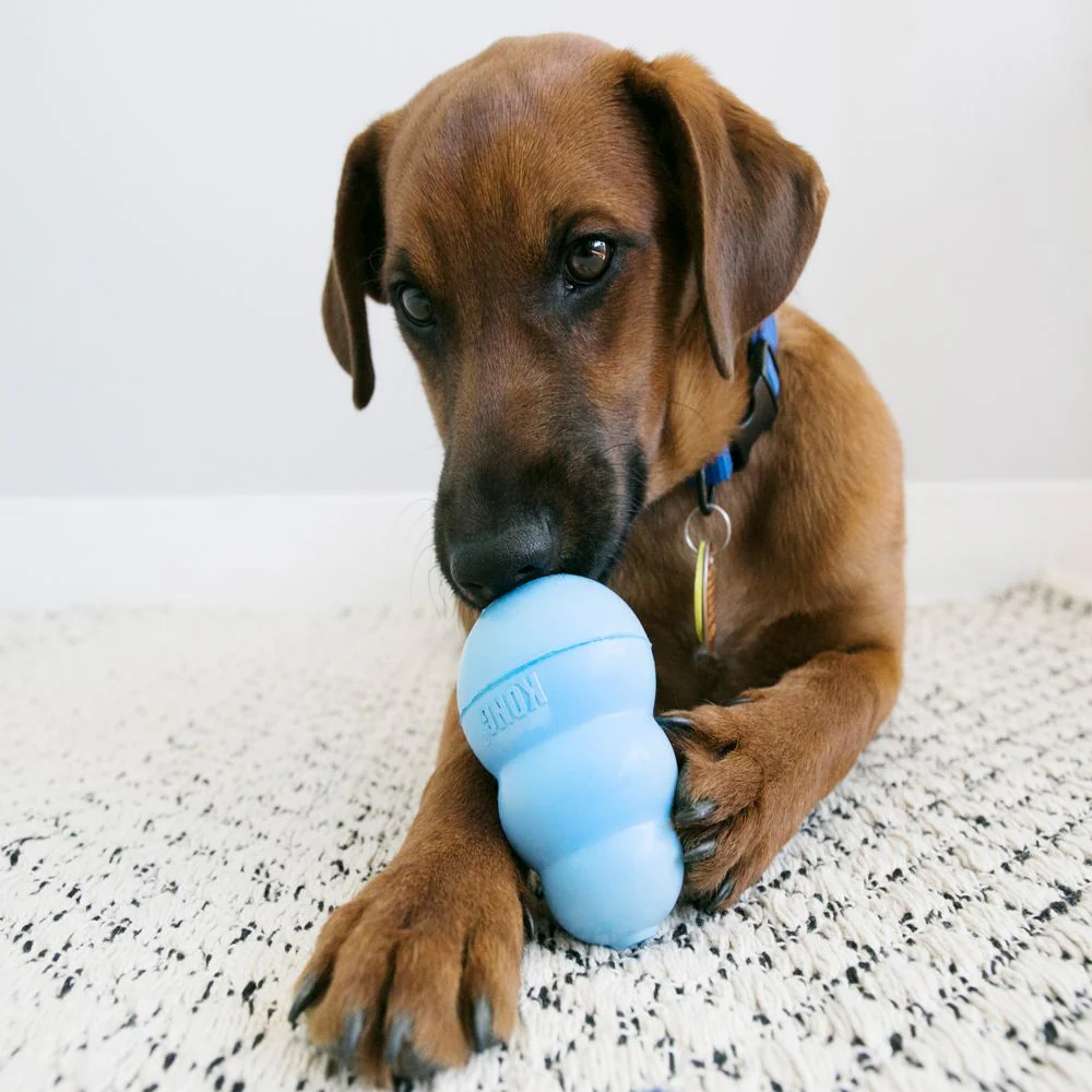 KONG Puppy Toy - Image 5