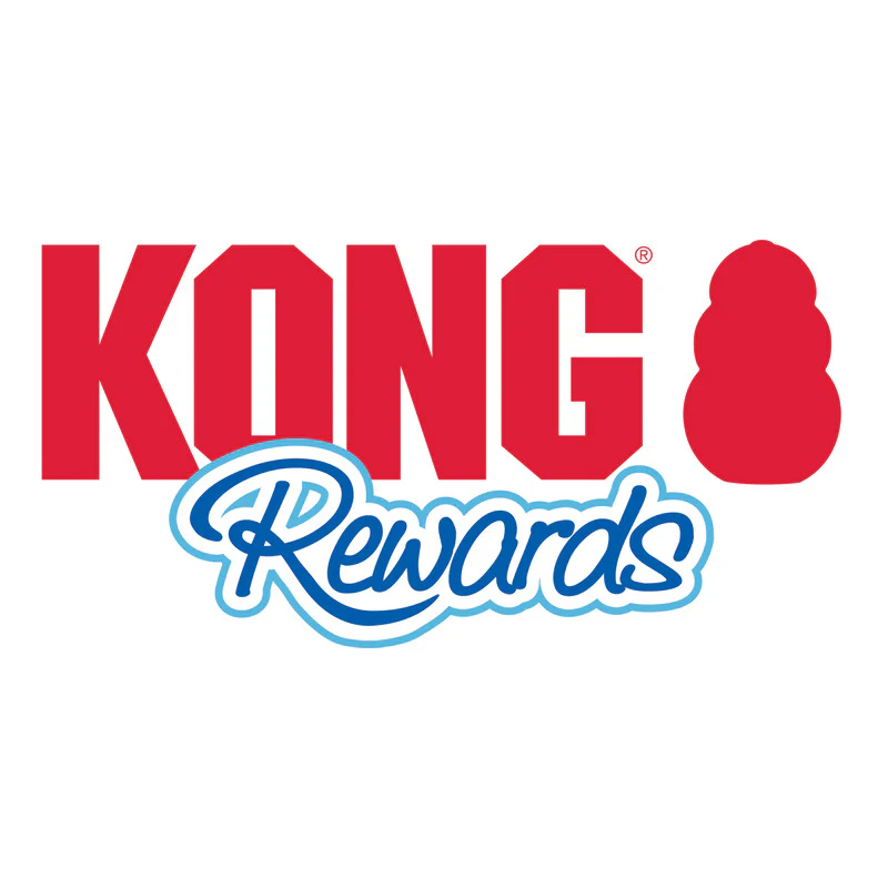 KONG Rewards Shell Small - Image 5