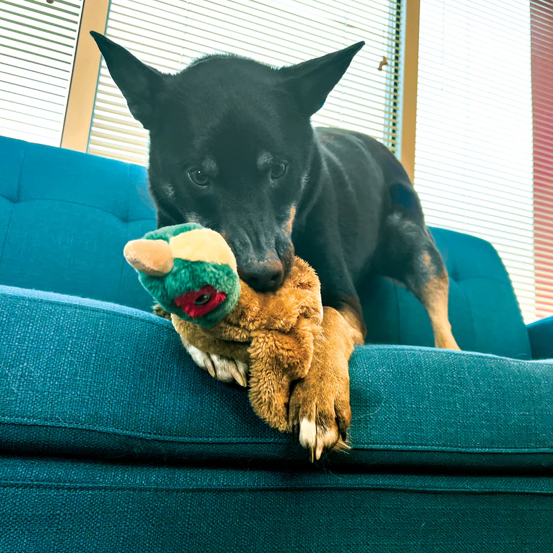 KONG Wild Low Stuff Pheasant Medium - Image 4