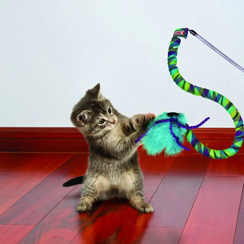 KONG Cat Curlz Teaser - Image 3