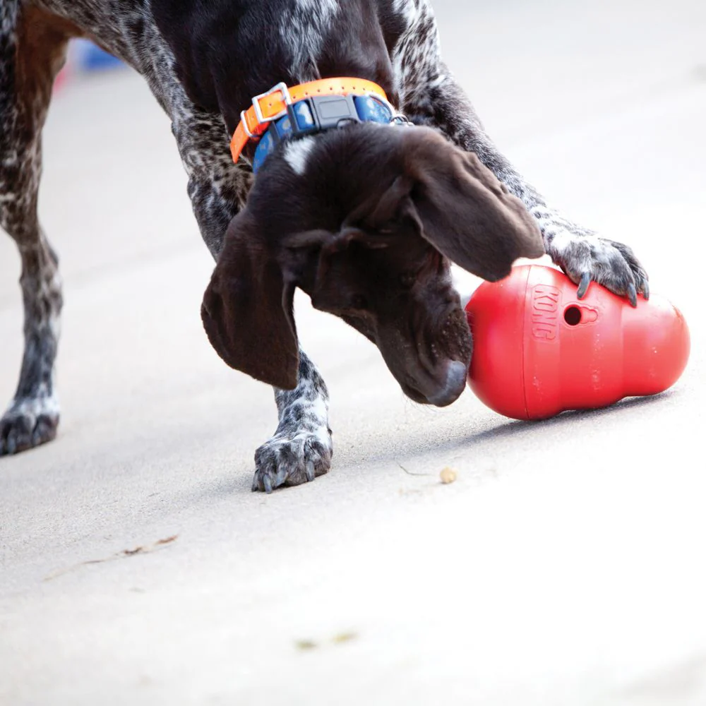 KONG Wobbler Large - Image 5