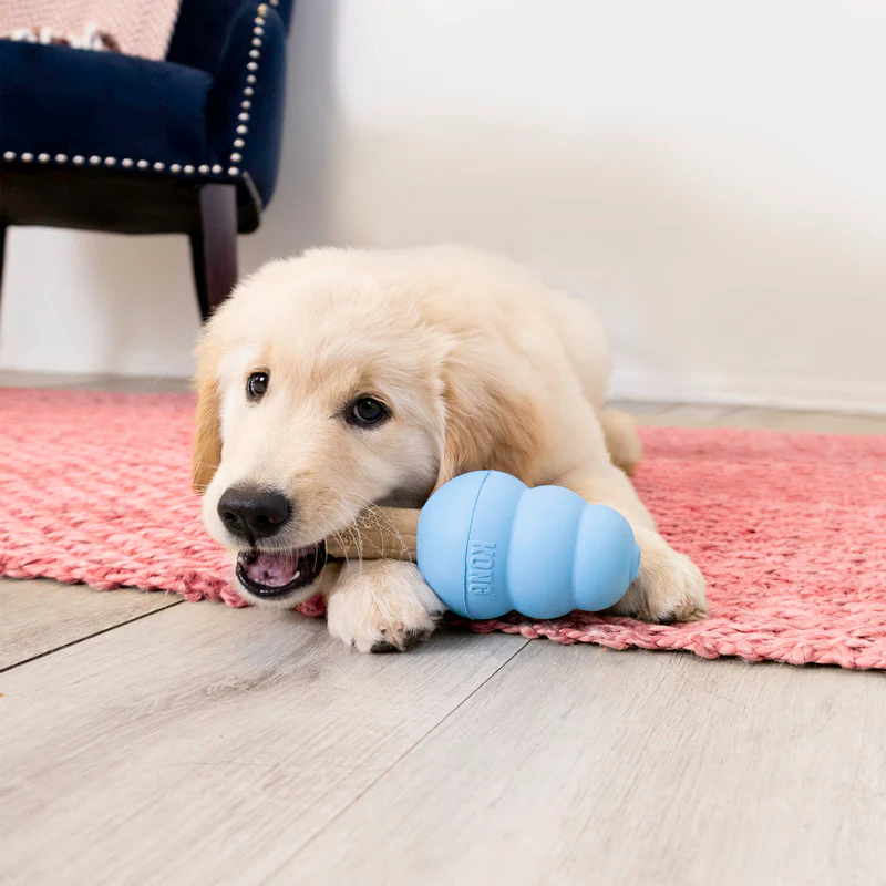 KONG Ziggies Enhanced Puppy Small - Image 5
