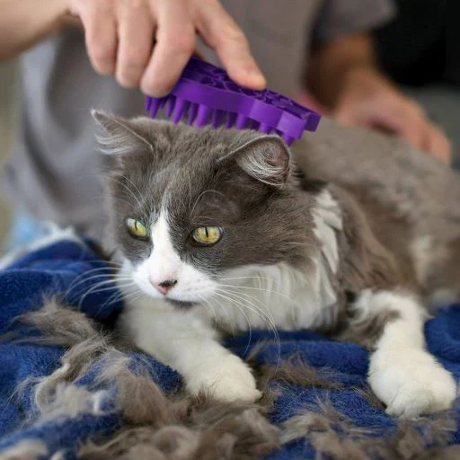 KONG ZoomGroom For Cats - Image 4