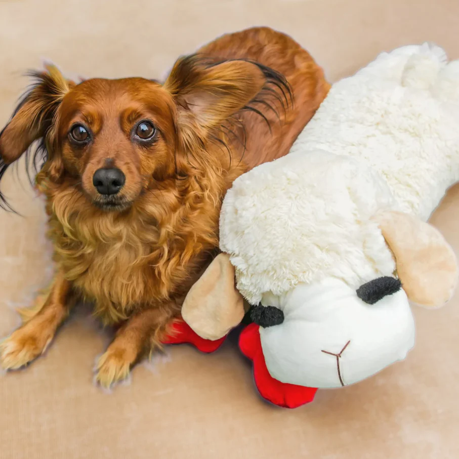 Lamb Chop Soft Dog Toy (3 sizes) - Image 4