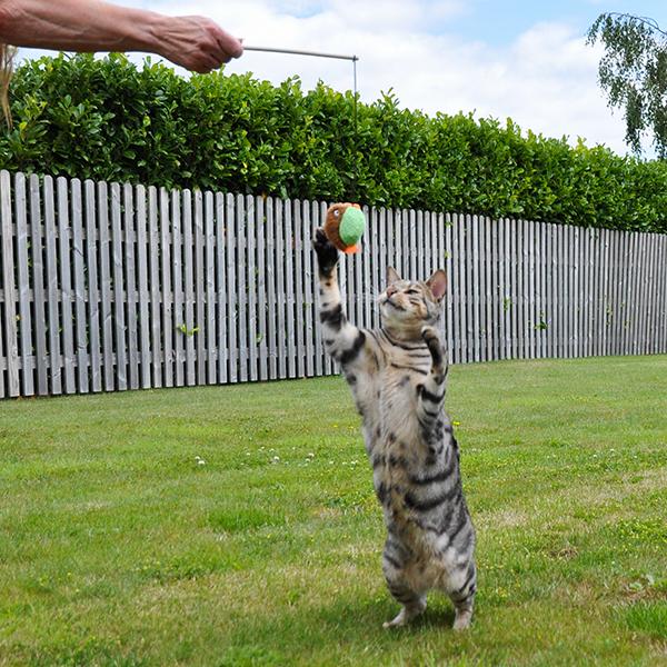 Little Nippers Flippy Fish Kitten Toy - Image 11