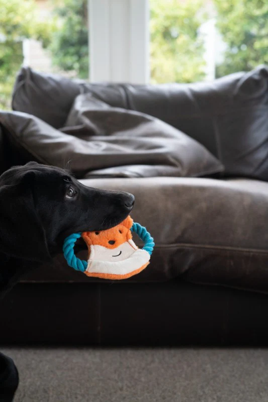 Little Petface Flingy Fox Small & Puppy Toy - Image 5