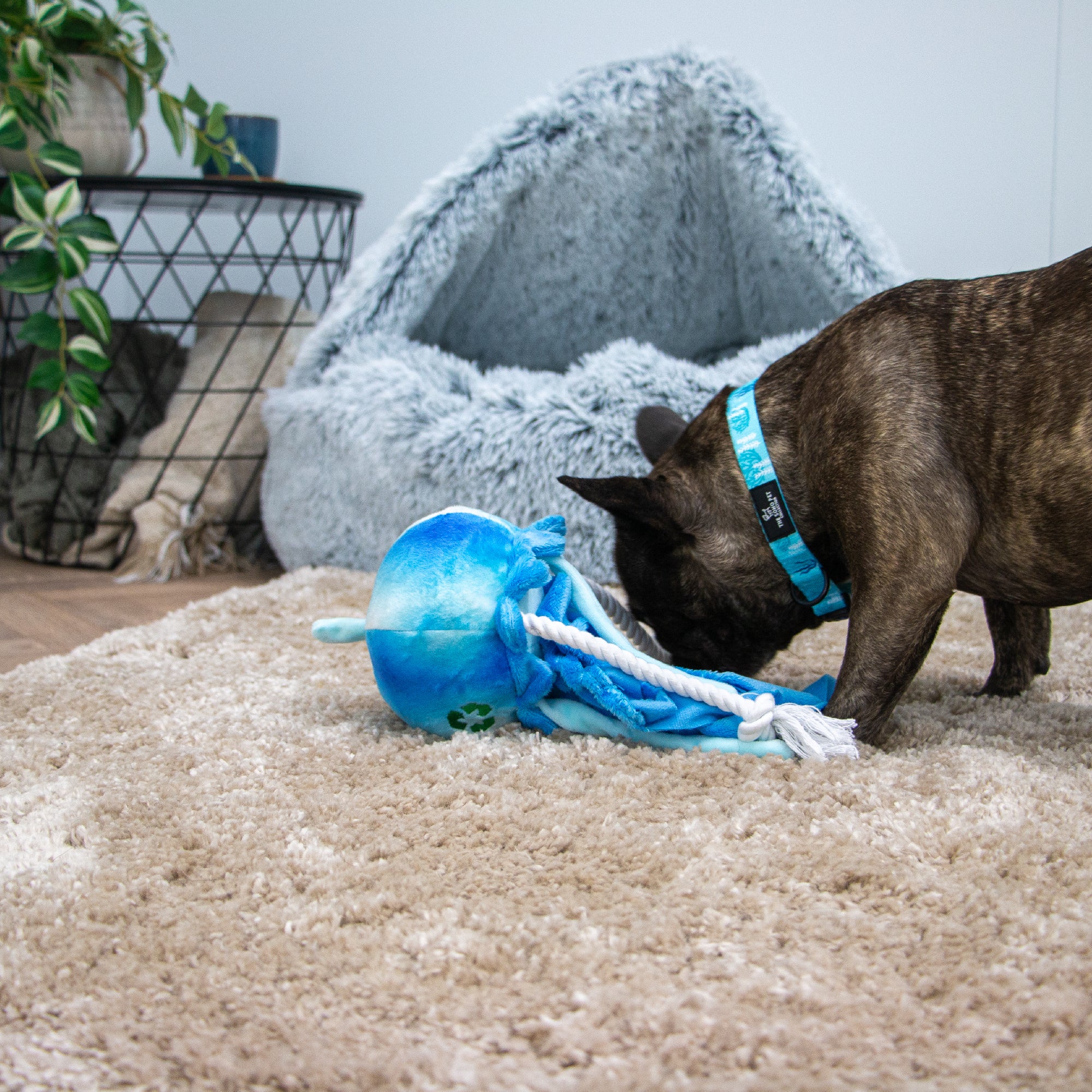 Made From Jelly Fish Dog Toy - Image 3