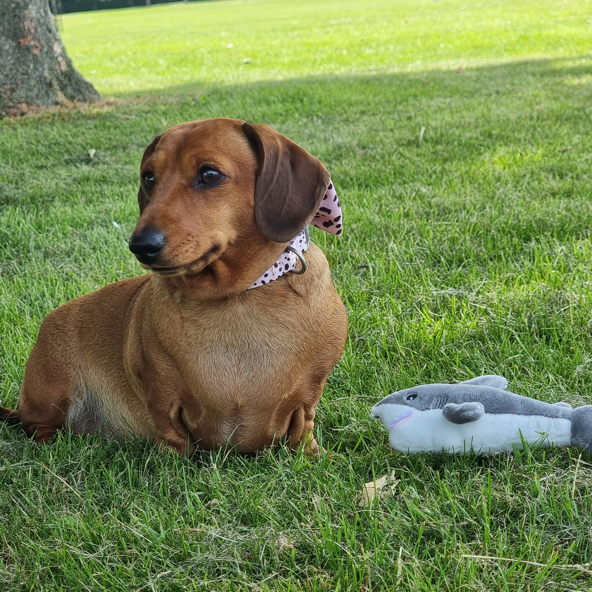 Made From Mini Shark, Octopus & Oshi Dog Toy - Image 6