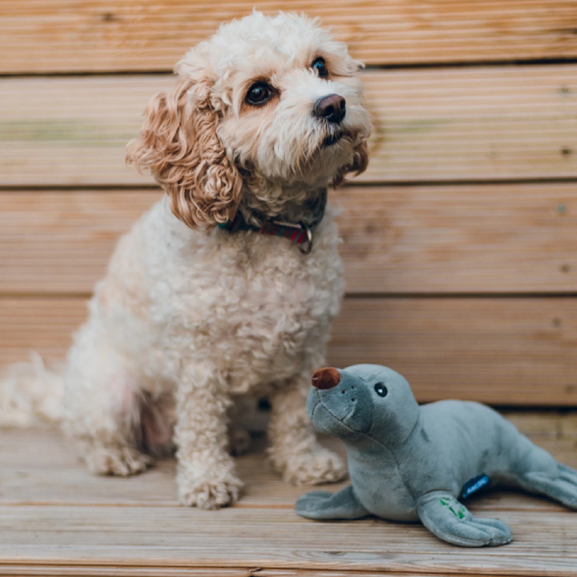 Made From Seal Dog Toy - Image 2