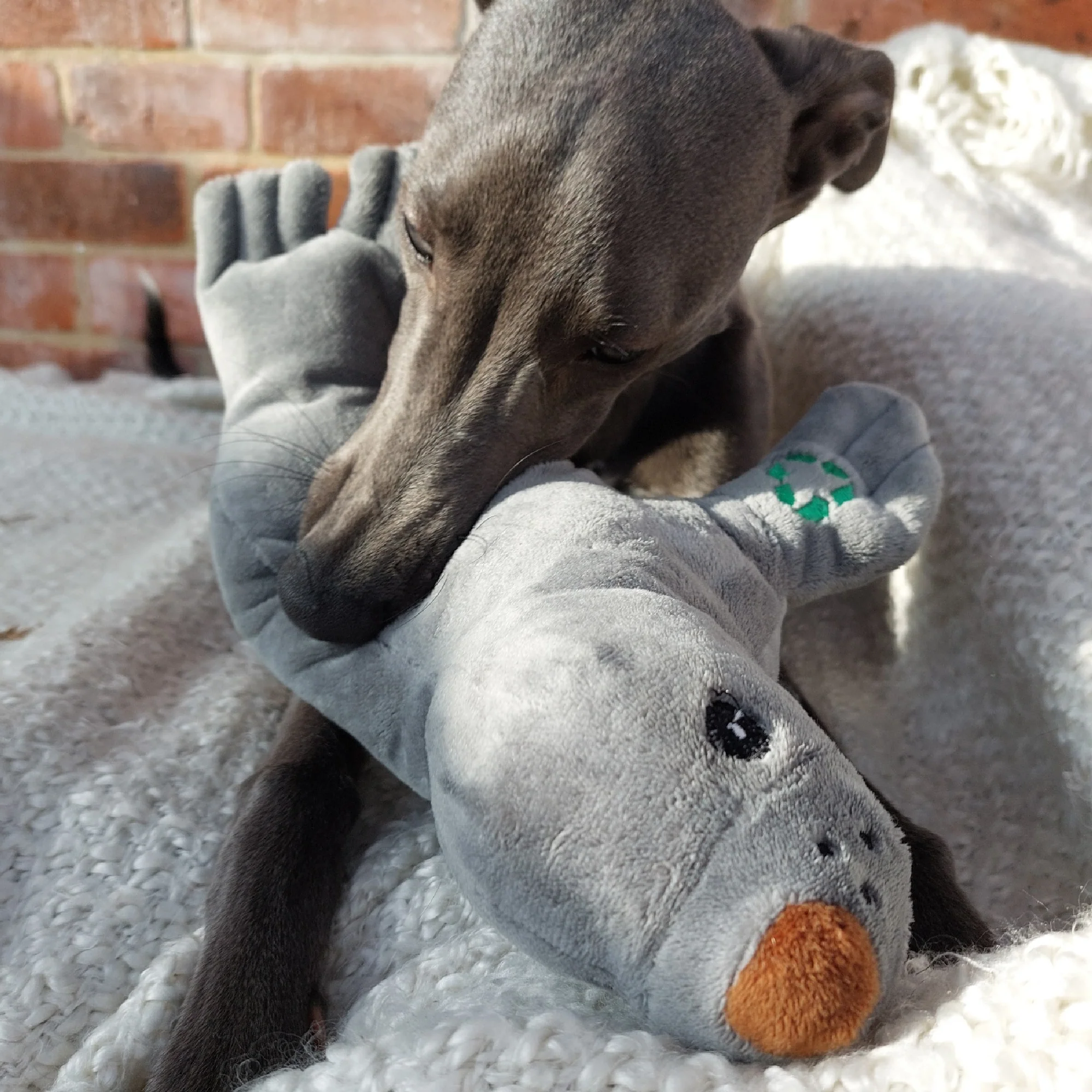 Made From Seal Dog Toy - Image 3