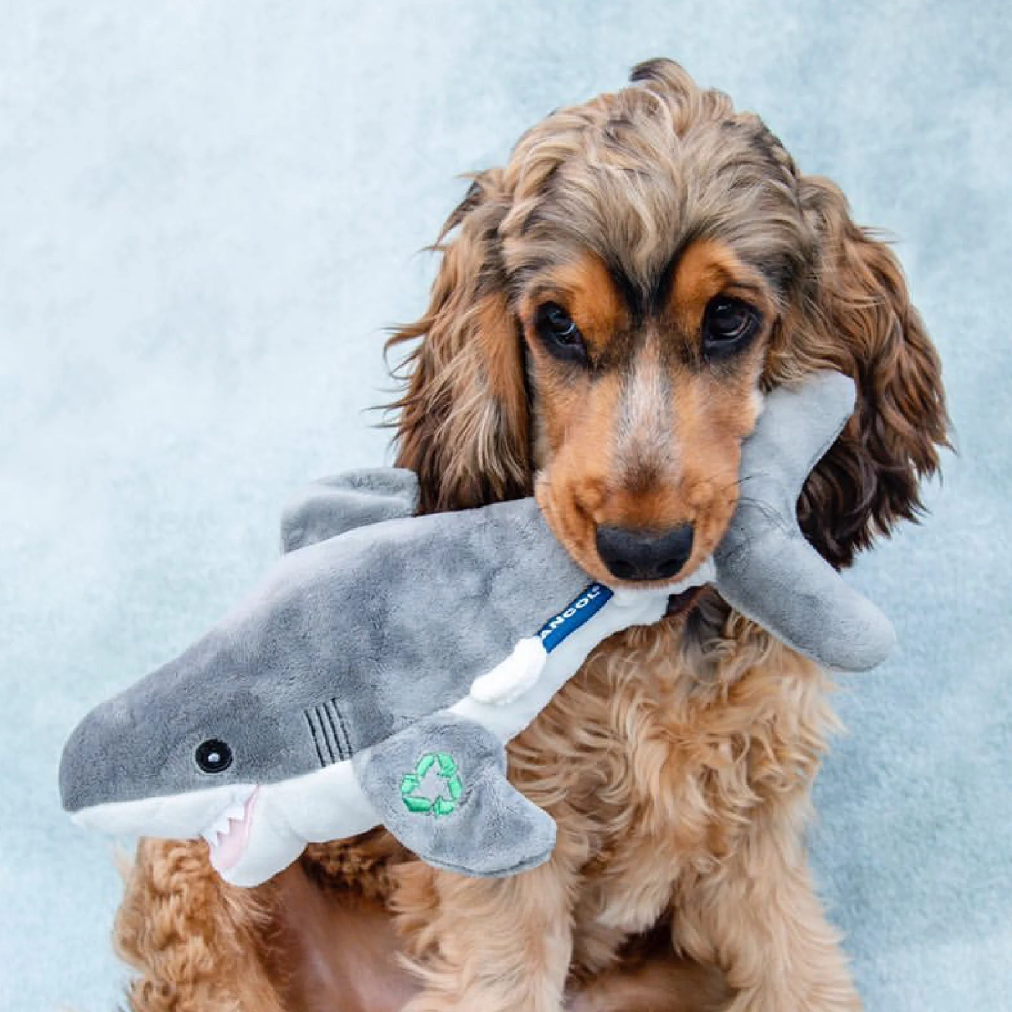 Made From Shark Cuddler Dog Toy - Image 2
