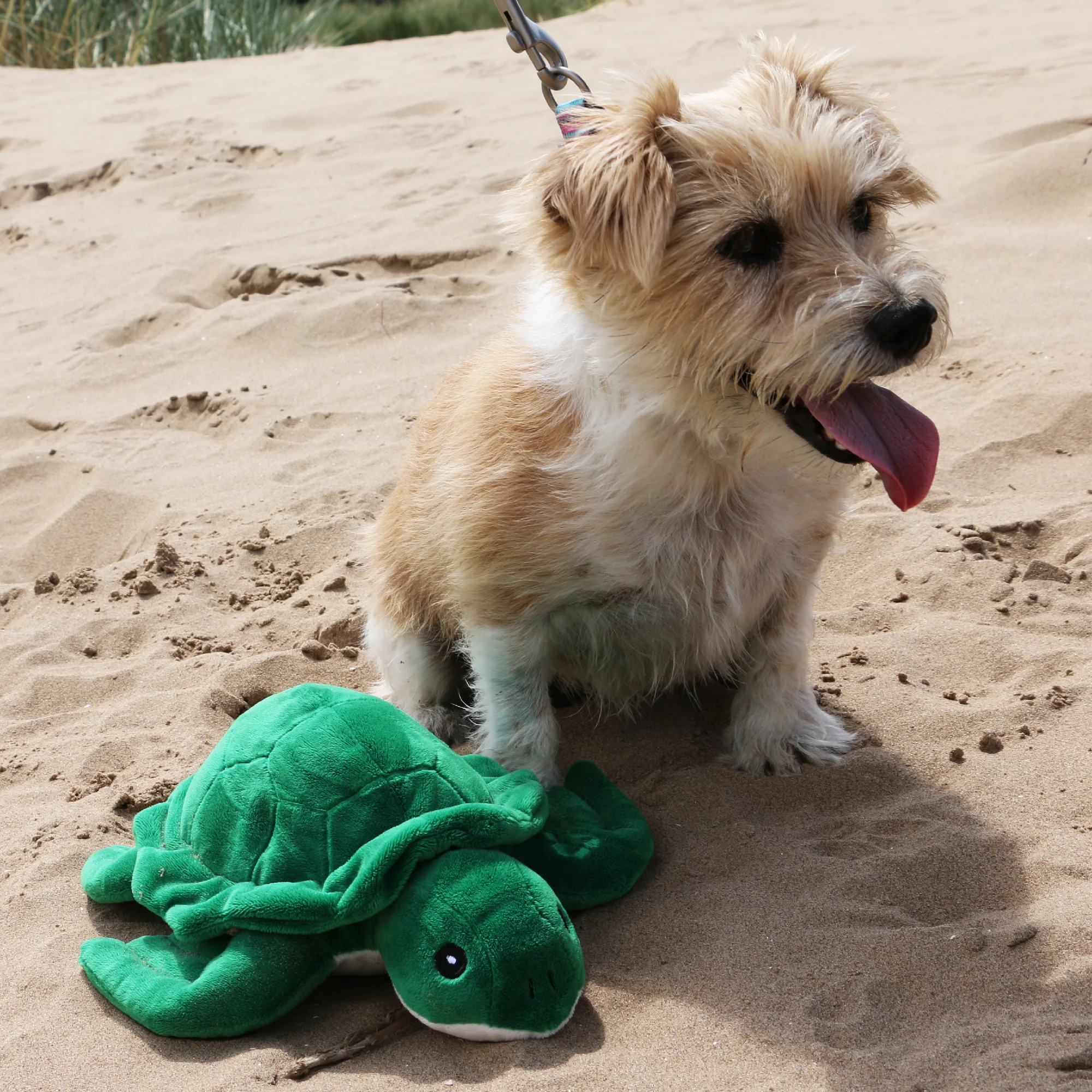 Made From Turtle Dog Toy - Image 2