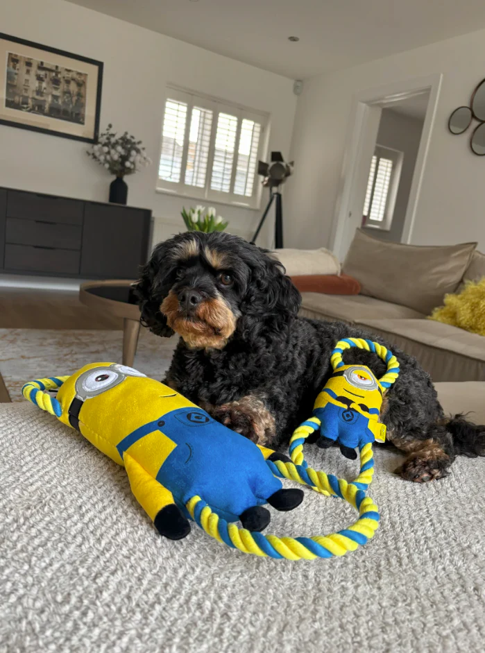 Minion Double Tug Large Stuart Dog Toy - Image 4