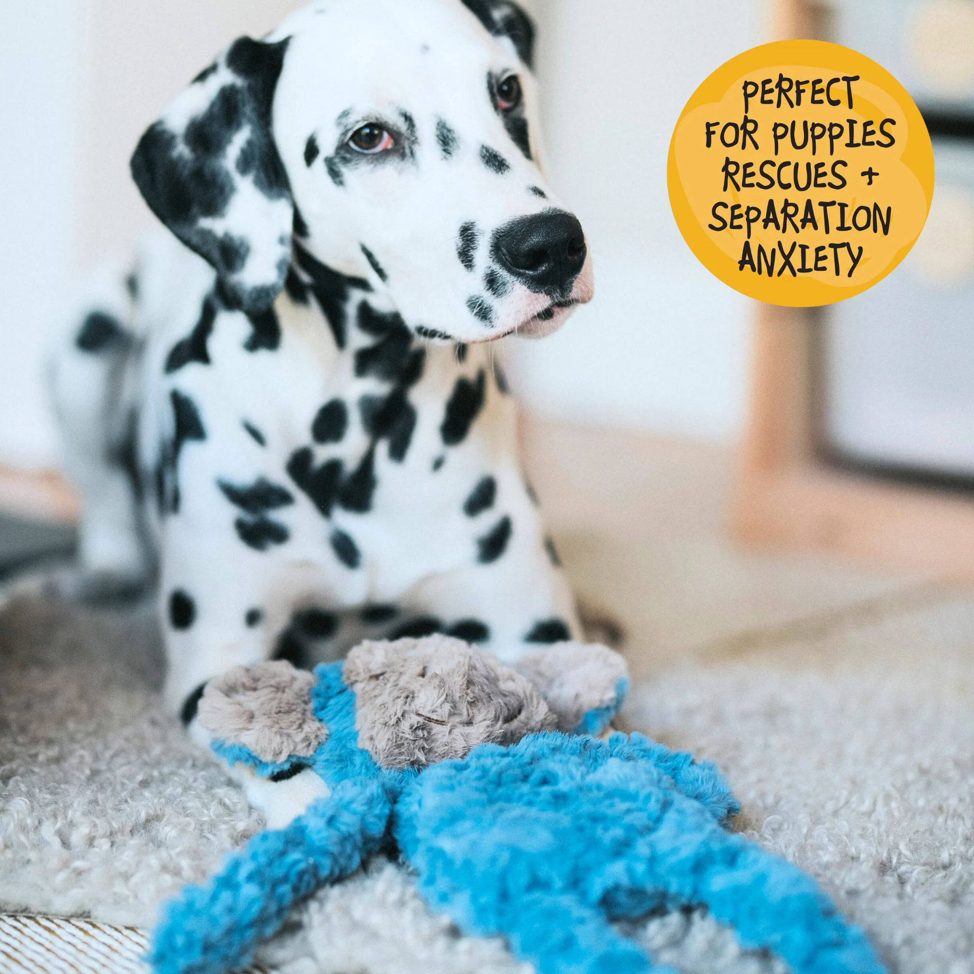 My Dog Monkey Dog Toy - Image 3