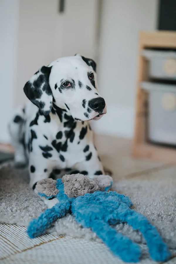 My Dog Monkey Dog Toy - Image 8