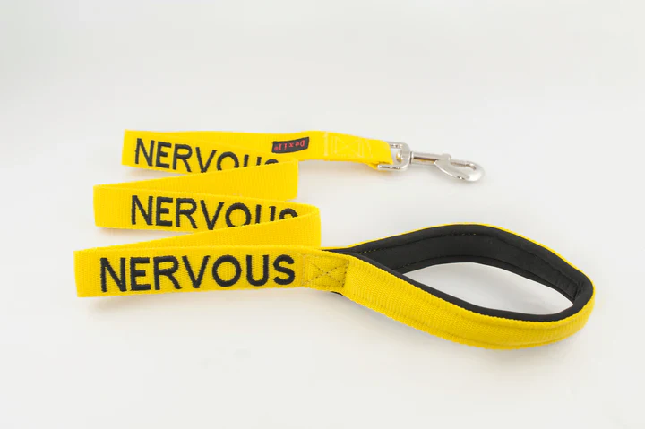 "Nervous" Dog Lead by Friendly Dog Collars - Image 2