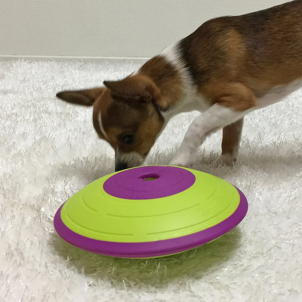 Nina Ottoson Dog Treat Maze - Image 3