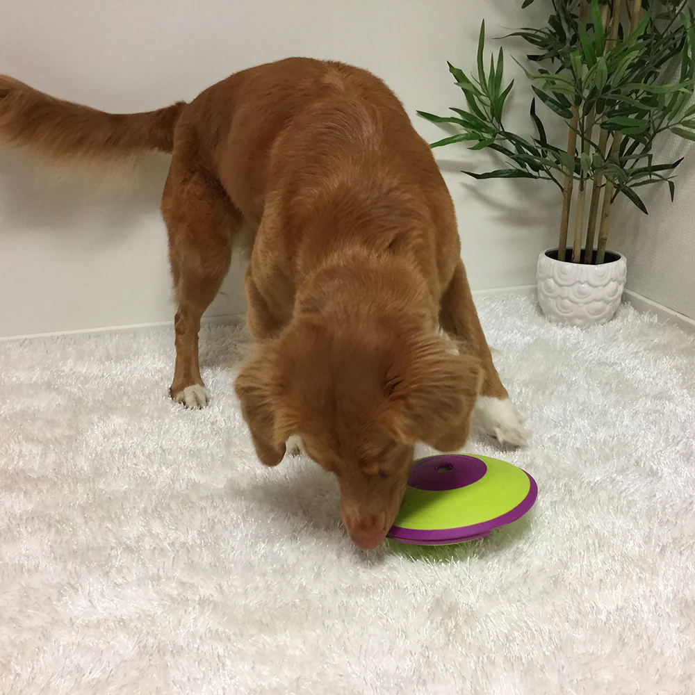 Nina Ottoson Dog Treat Maze - Image 4