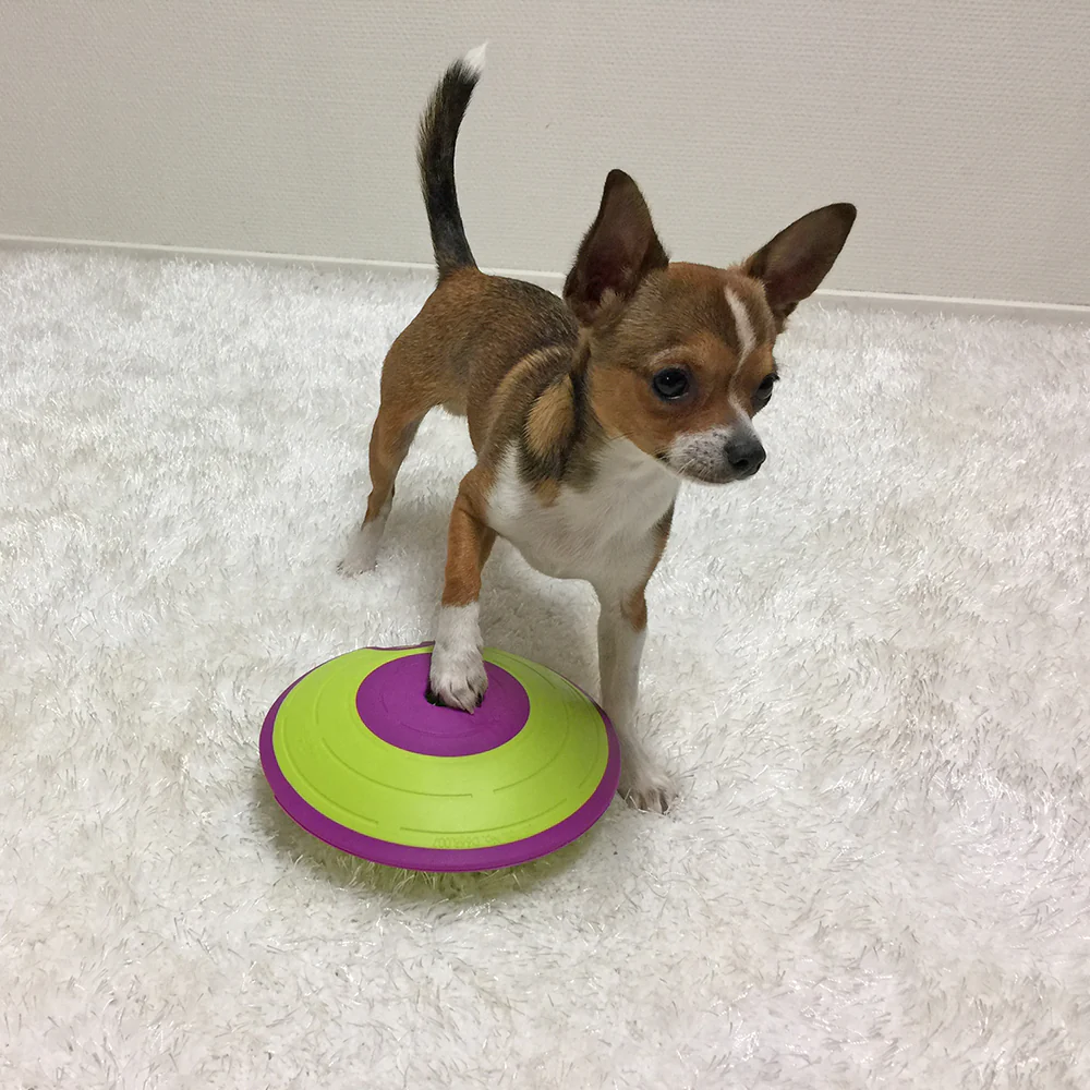 Nina Ottoson Dog Treat Maze - Image 5