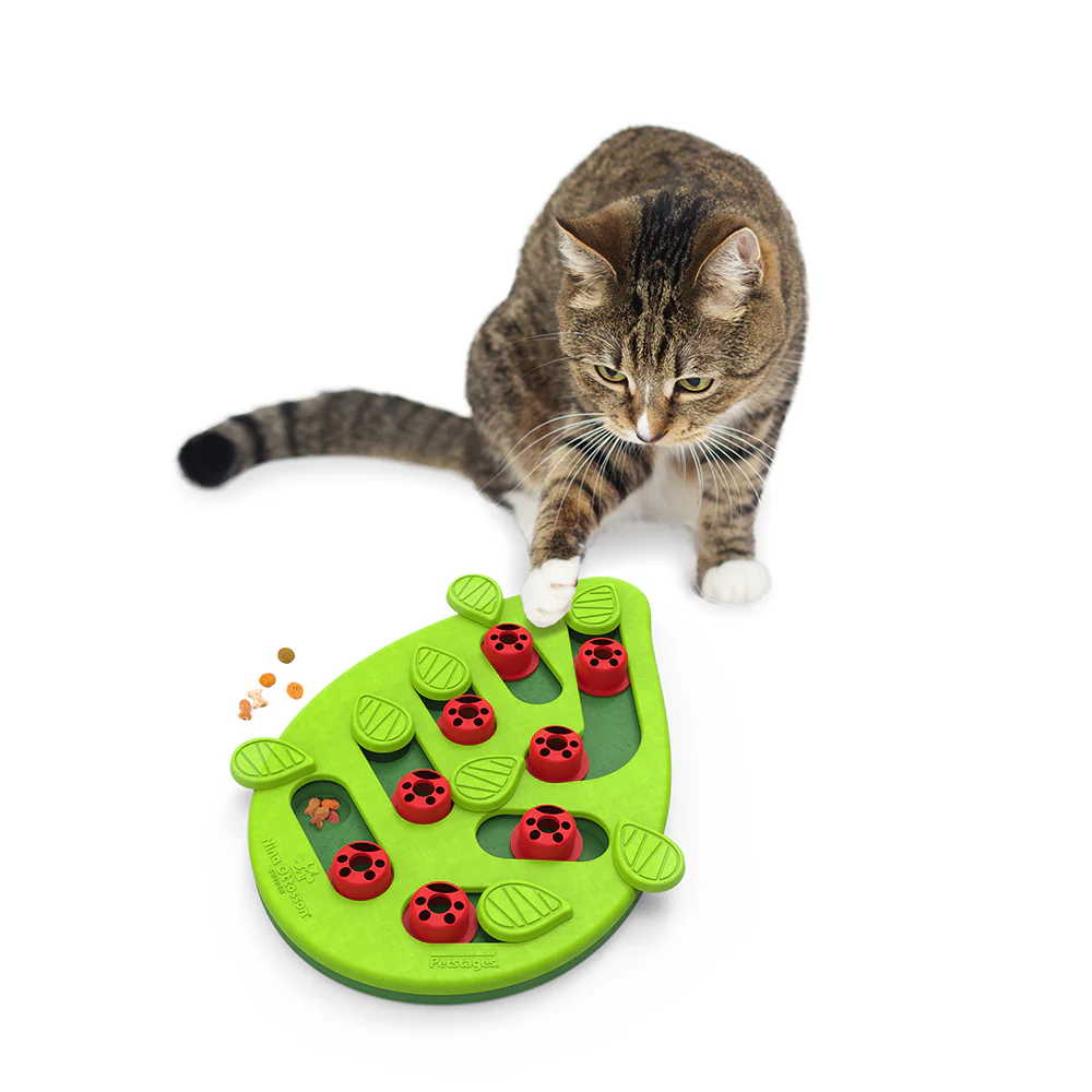 Nina Ottosson Cat Puzzle & Play Buggin Out - Image 3