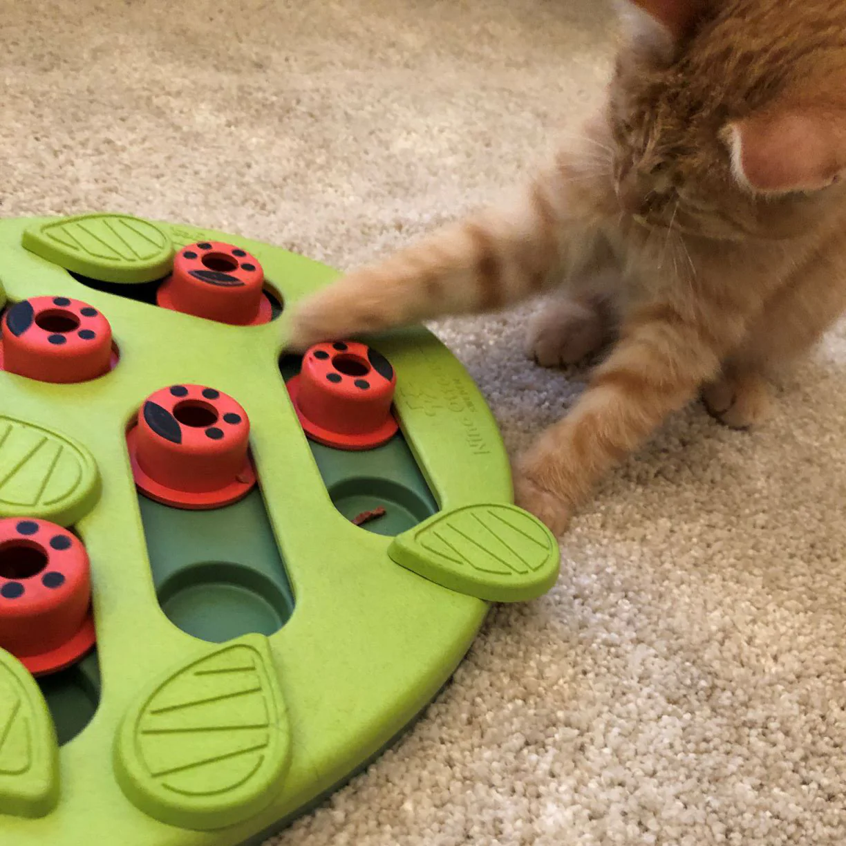 Nina Ottosson Cat Puzzle & Play Buggin Out - Image 4