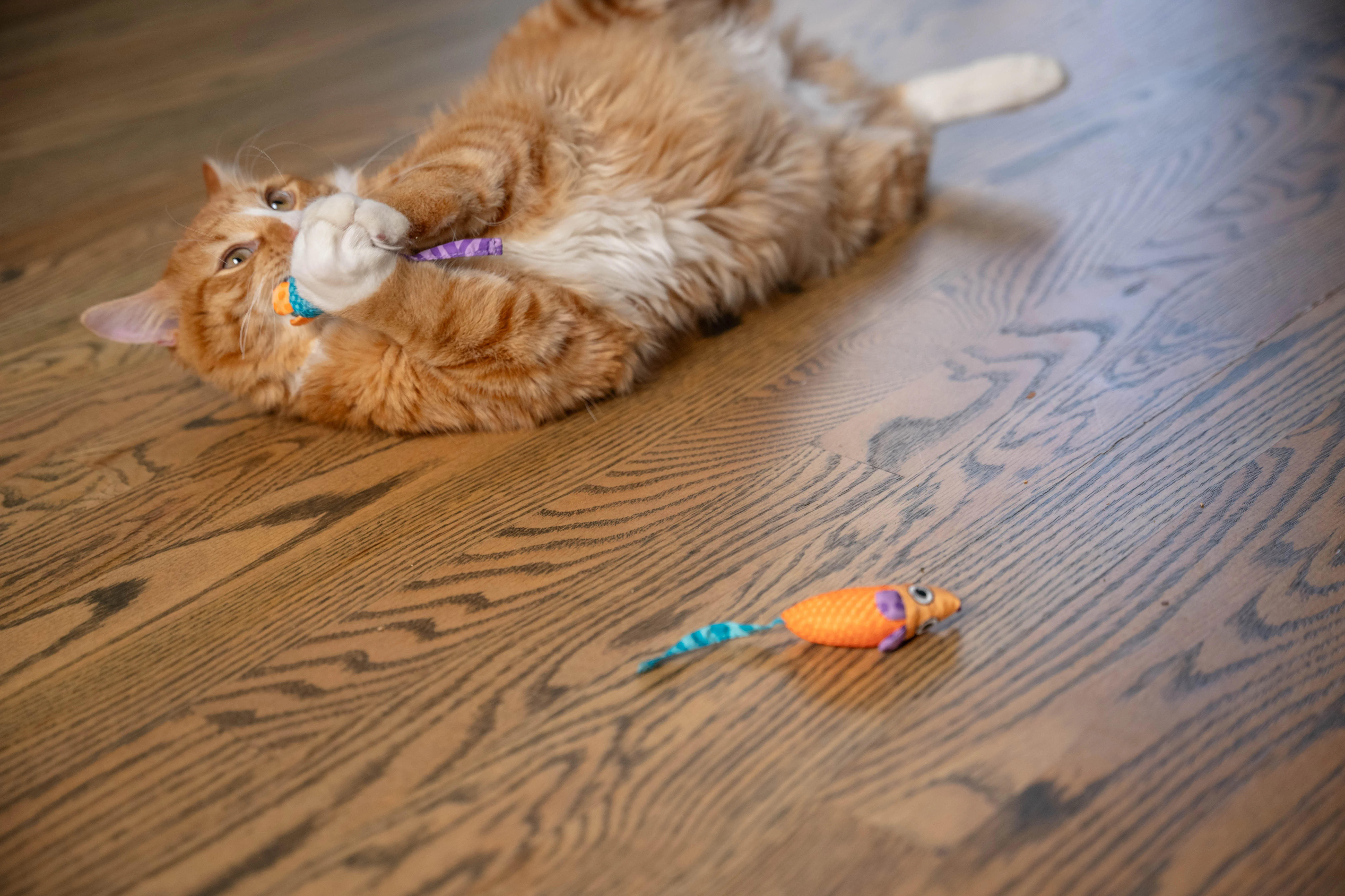 Nina Ottosson Catstages Catnip Chew Mice Cat Toy - Image 10
