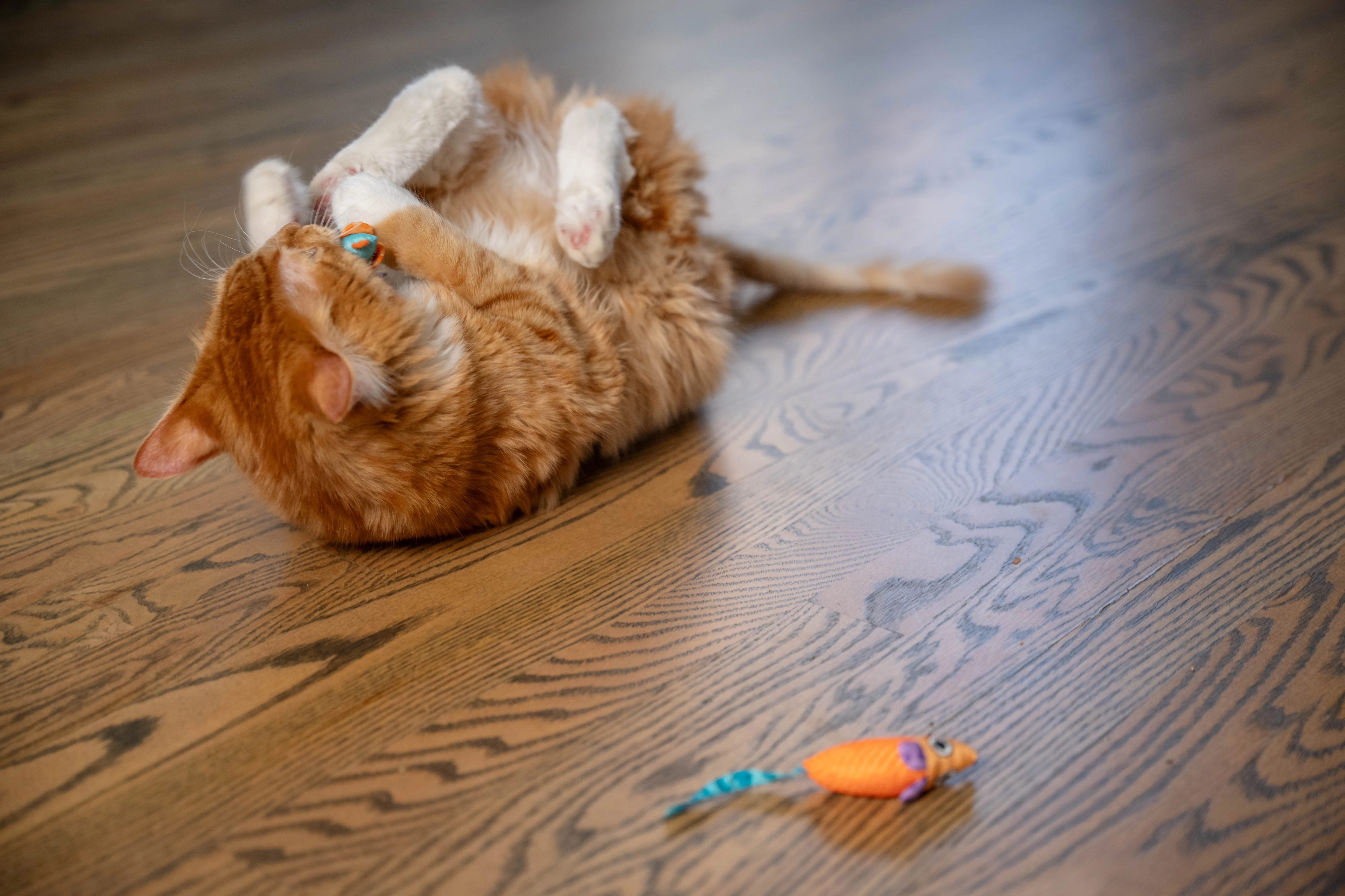 Nina Ottosson Catstages Catnip Chew Mice Cat Toy - Image 11