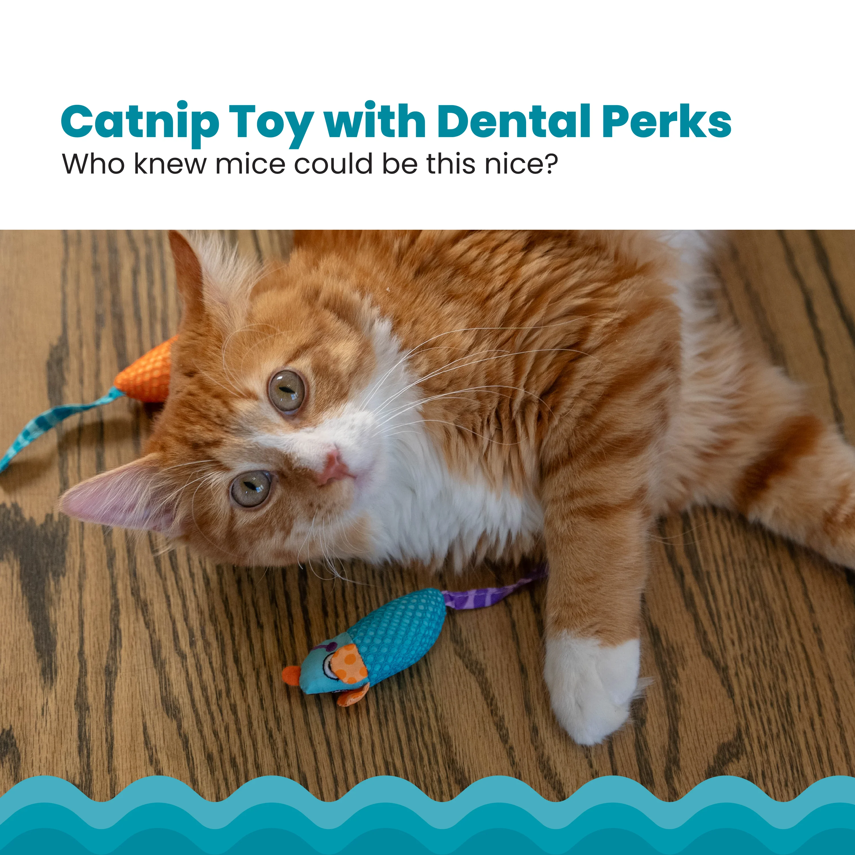 Nina Ottosson Catstages Catnip Chew Mice Cat Toy - Image 4
