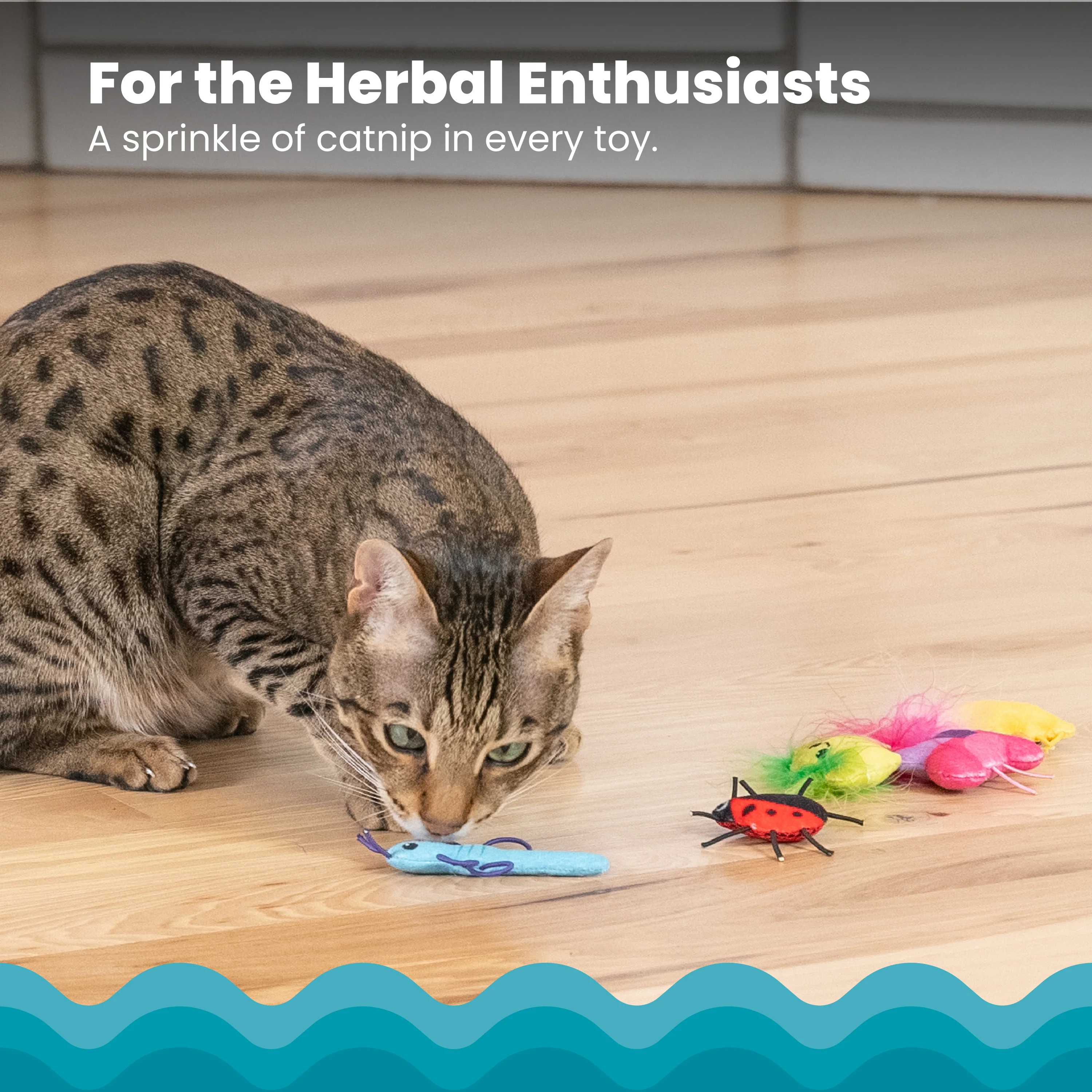 Nina Ottosson Catstages Cute as a Bug 6 pack Cat Toys - Image 6