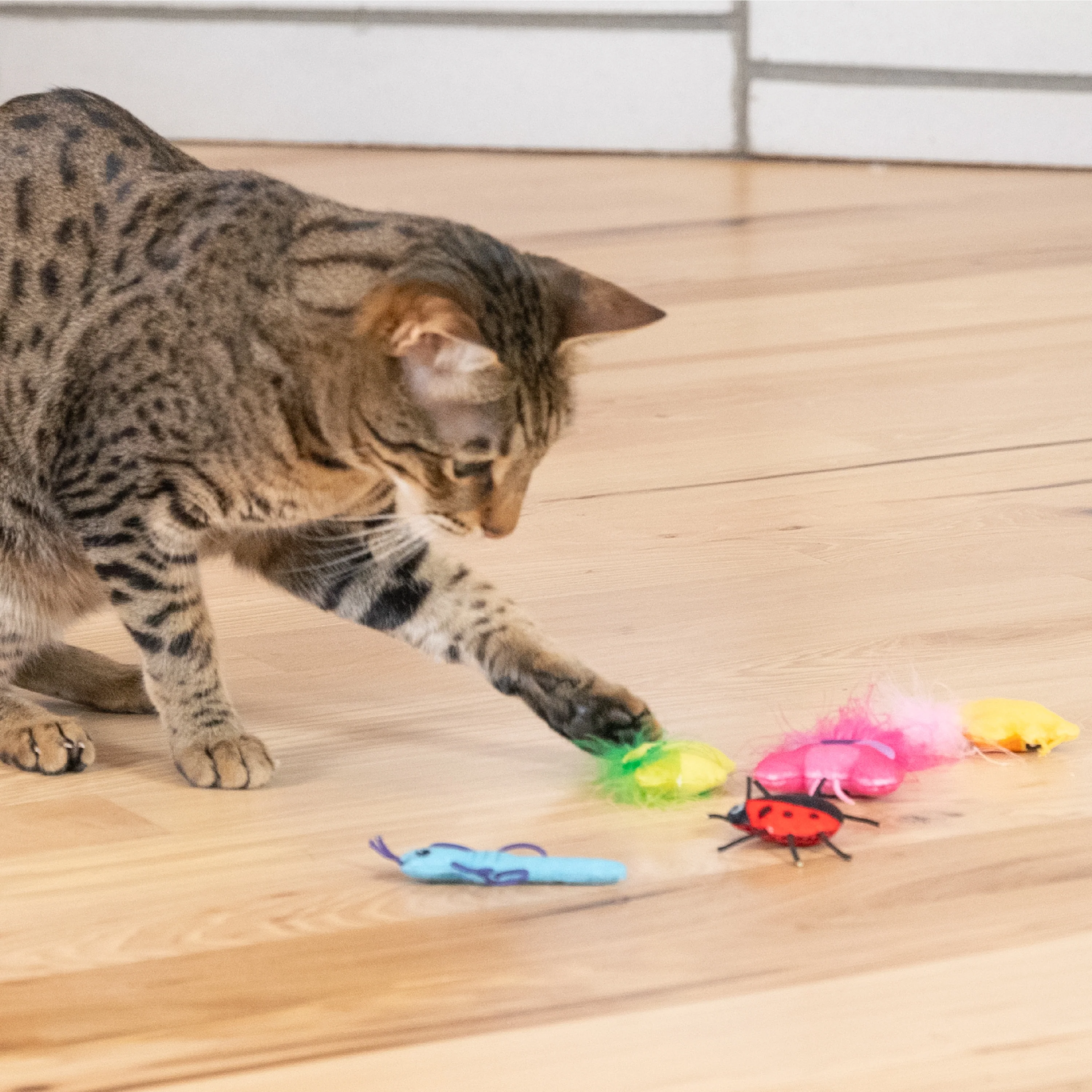 Nina Ottosson Catstages Cute as a Bug 6 pack Cat Toys - Image 7