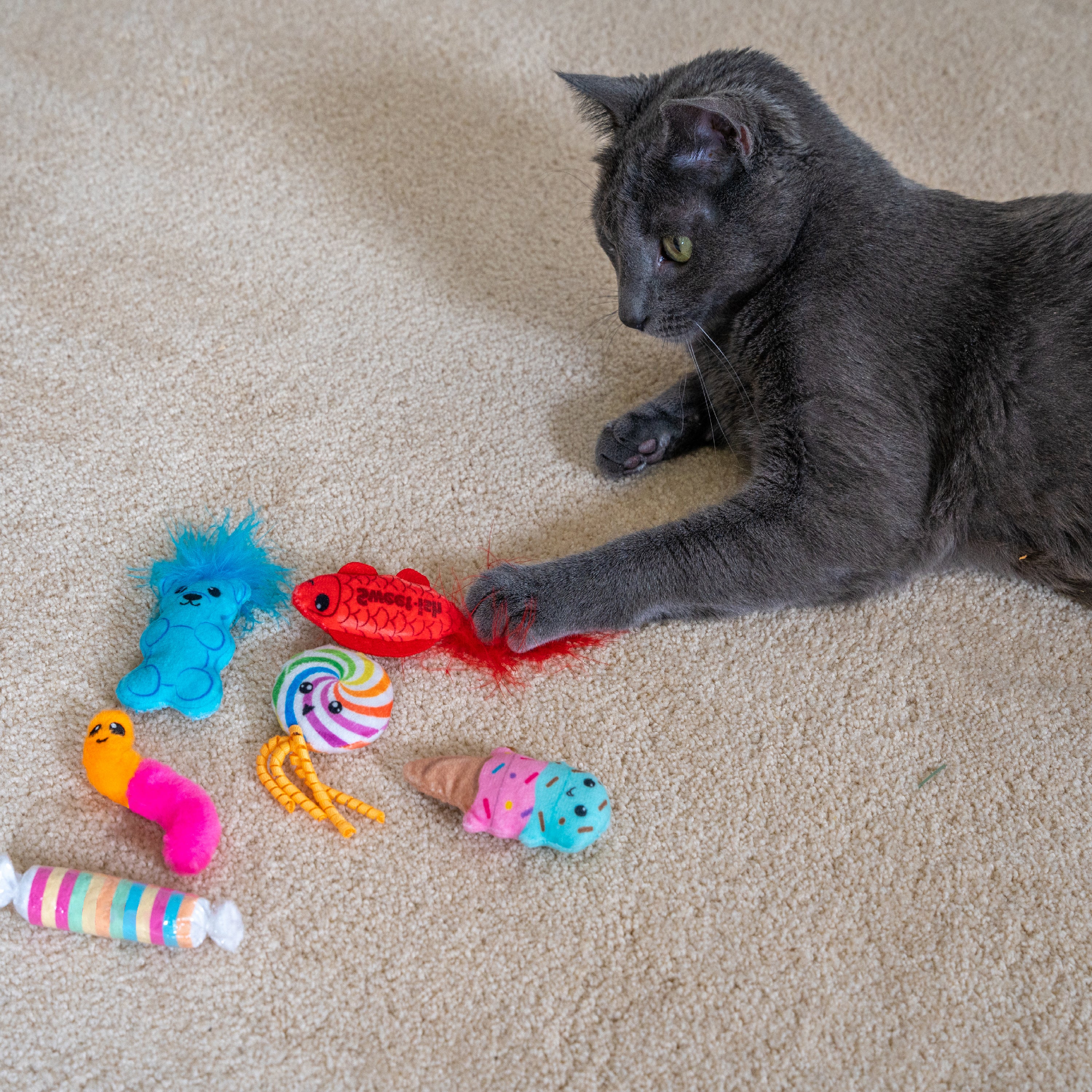 Nina Ottosson Catstages Kitty Sweet Treats 6 pack Cat Toys - Image 7