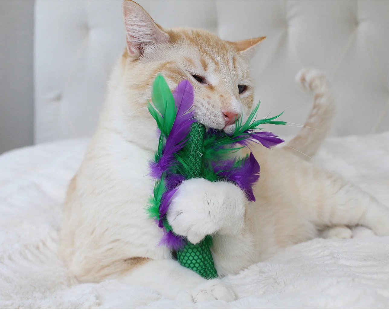 Nina Ottosson Catstages Krazy Kale Cat Toy - Image 3