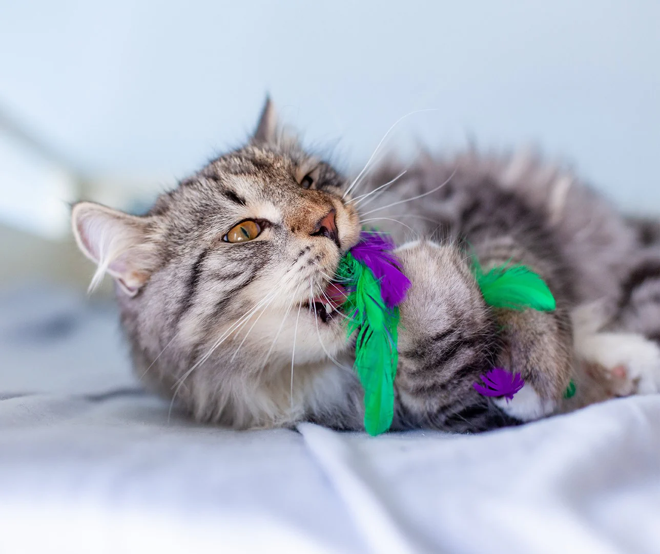 Nina Ottosson Catstages Krazy Kale Cat Toy - Image 4