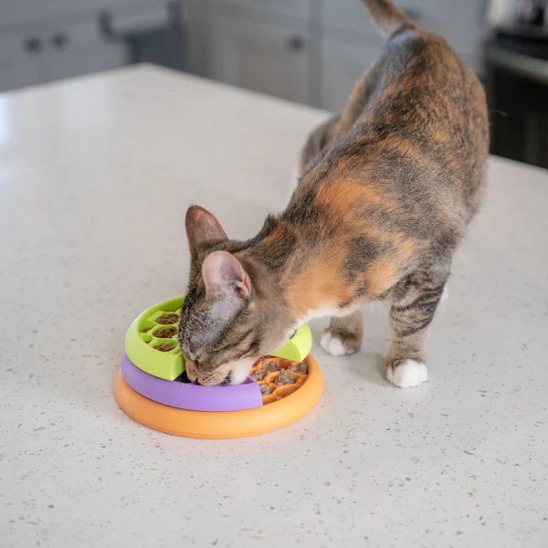 Nina Ottosson Catstages Puzzle and Feeder in one - Image 4