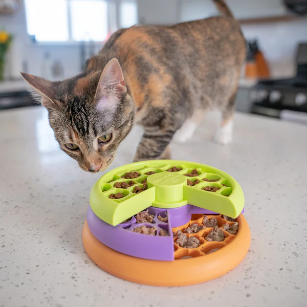 Nina Ottosson Catstages Puzzle and Feeder in one - Image 8
