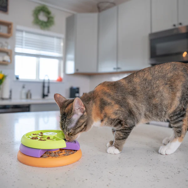 Nina Ottosson Catstages Puzzle and Feeder in one - Image 9